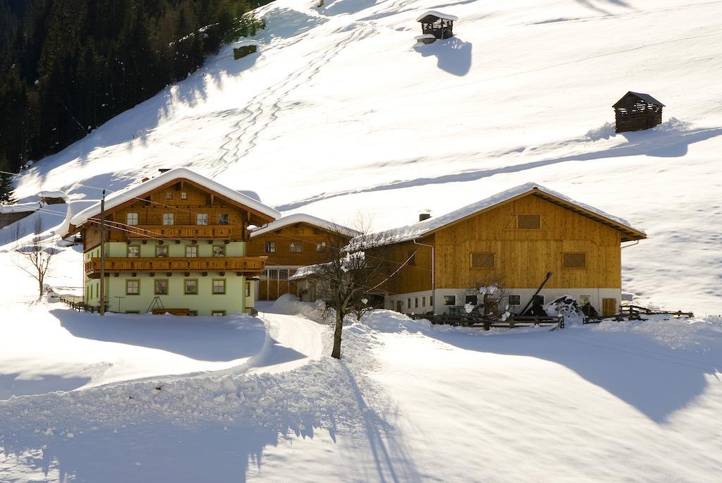 Appartement Kleinellmauhof à Grossarl Extérieur photo